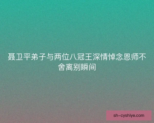 聂卫平弟子与两位八冠王深情悼念恩师不舍离别瞬间